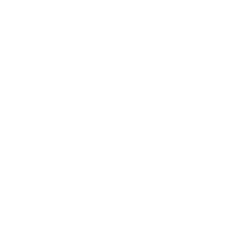 Themenfeld Sozialer Raum