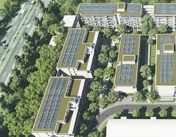 BGD 2025 Teaserbild Zeitstrahl Baugenehmigung